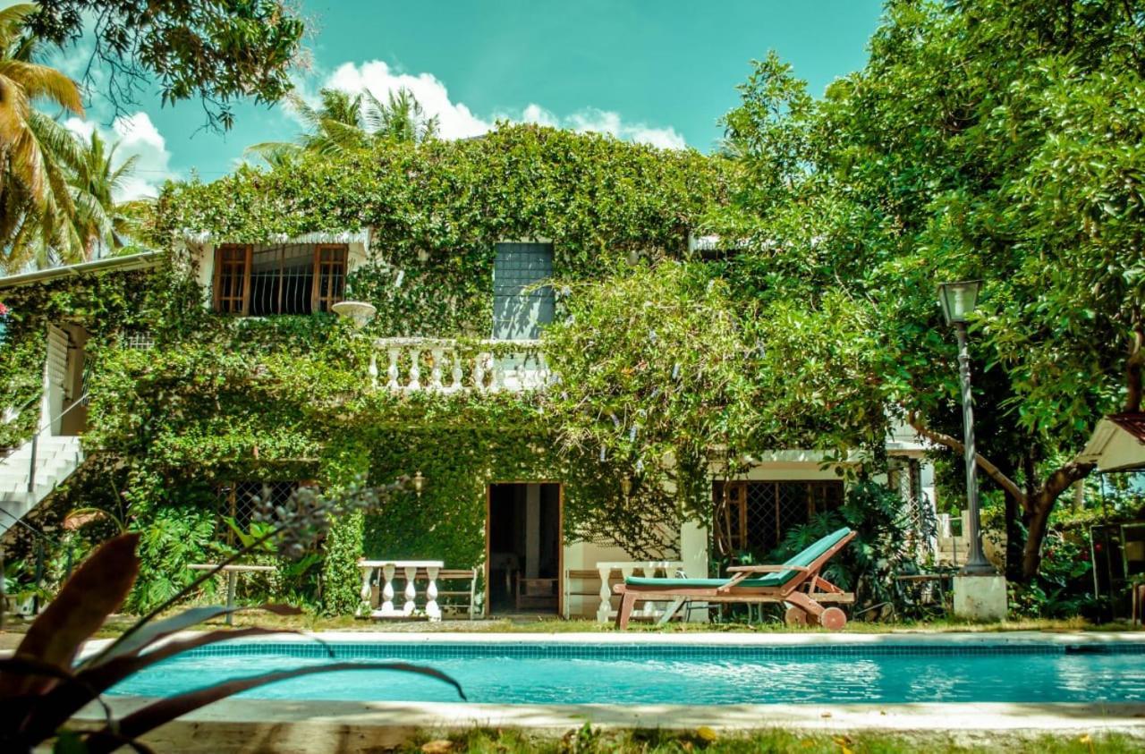Villa Carolina Bed And Breakfast Puerto Plata Exteriör bild