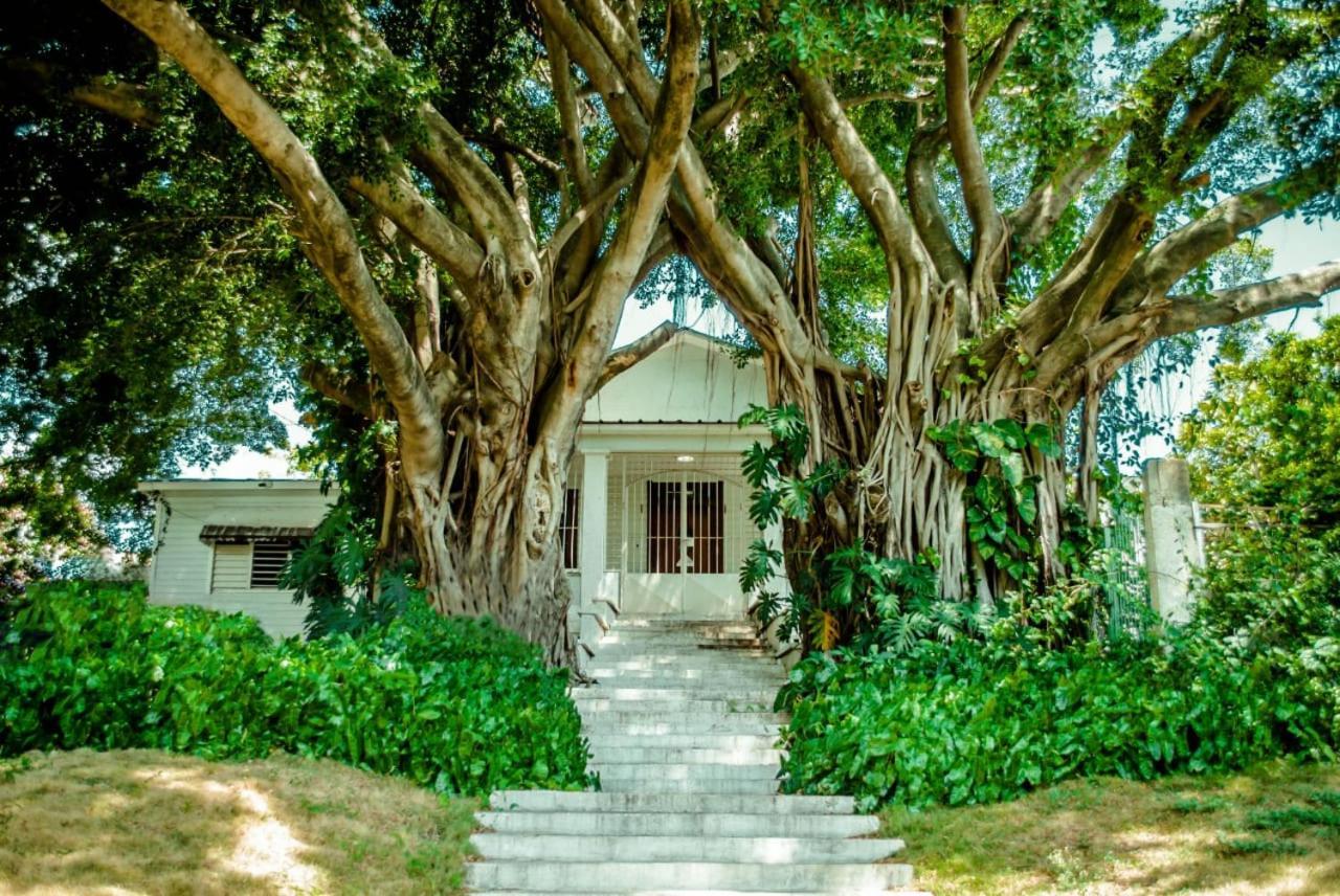 Villa Carolina Bed And Breakfast Puerto Plata Exteriör bild