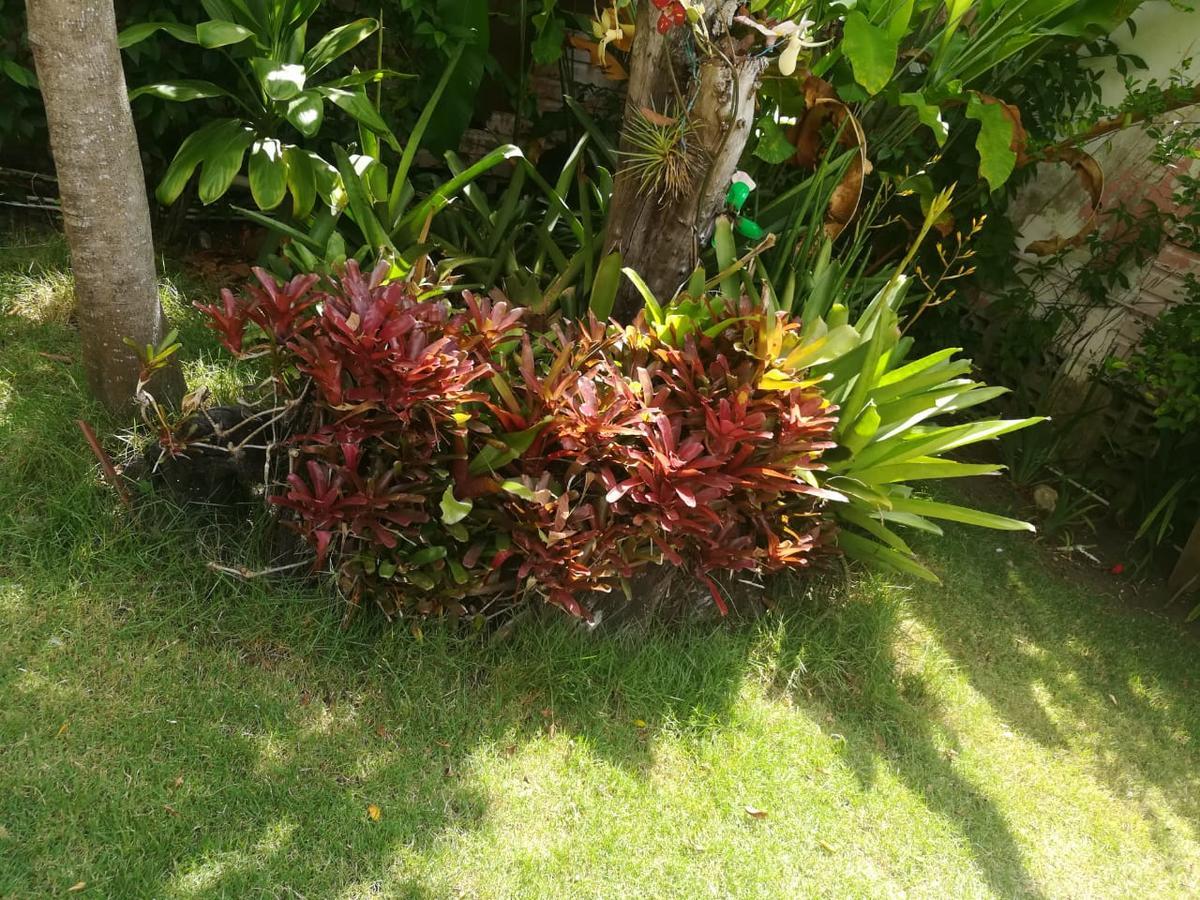Villa Carolina Bed And Breakfast Puerto Plata Exteriör bild